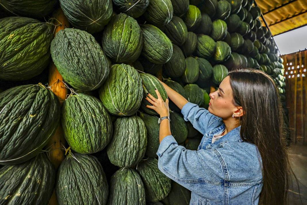 AB onaylı lezzet! Kırkağaç kavunu, kış aylarında da tezgahlarda 12